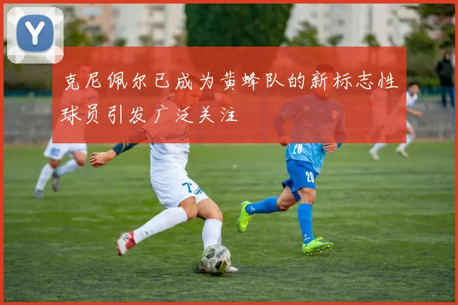 克尼佩尔已成为黄蜂队的新标志性球员引发广泛关注