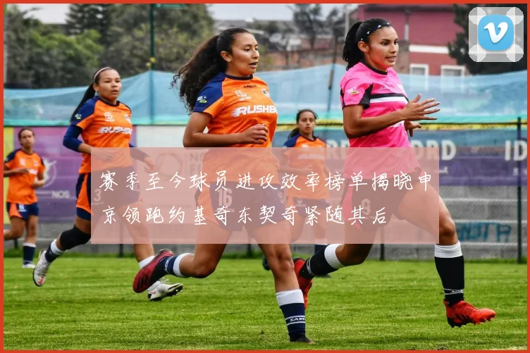 赛季至今球员进攻效率榜单揭晓申京领跑约基奇东契奇紧随其后