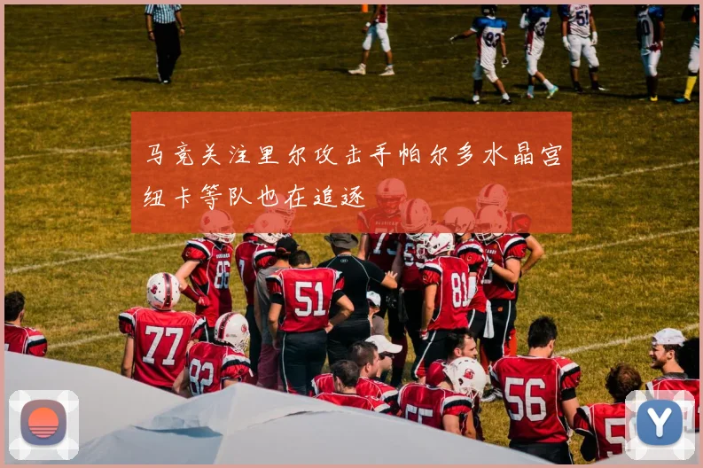 马竞关注里尔攻击手帕尔多水晶宫纽卡等队也在追逐