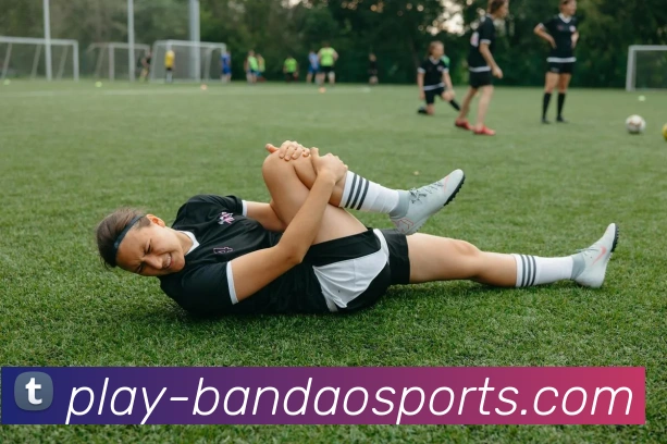 半岛体育平台生态图