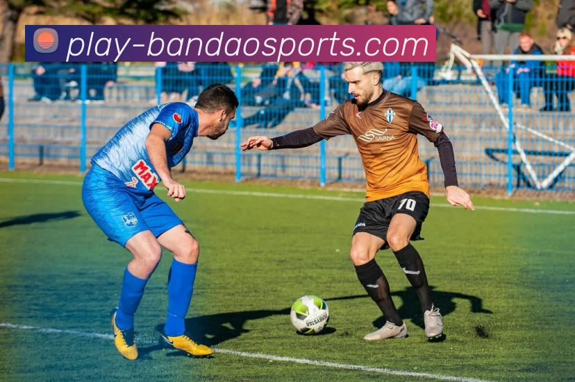 半岛体育全站App