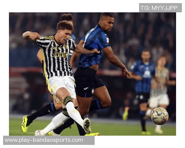 弗拉霍维奇遭遇严重肌腱损伤预计缺阵两到三个月球队面临挑战