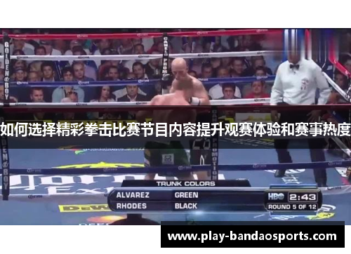 如何选择精彩拳击比赛节目内容提升观赛体验和赛事热度