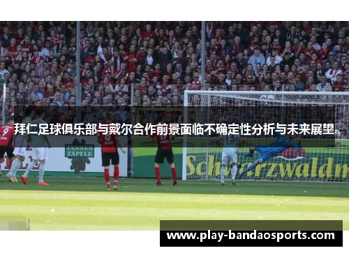 拜仁足球俱乐部与戴尔合作前景面临不确定性分析与未来展望