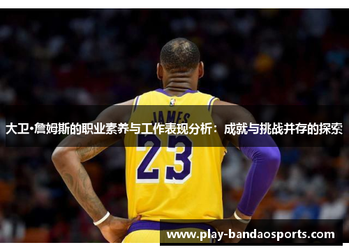 大卫·詹姆斯的职业素养与工作表现分析：成就与挑战并存的探索