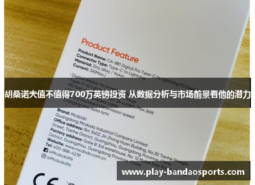 胡桑诺夫值不值得700万英镑投资 从数据分析与市场前景看他的潜力