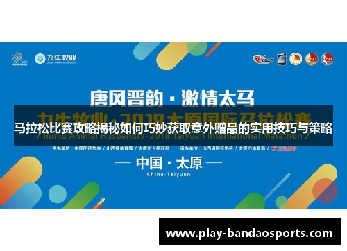 马拉松比赛攻略揭秘如何巧妙获取意外赠品的实用技巧与策略