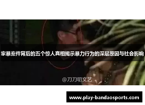 家暴案件背后的五个惊人真相揭示暴力行为的深层原因与社会影响