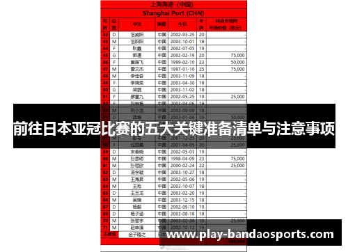 前往日本亚冠比赛的五大关键准备清单与注意事项