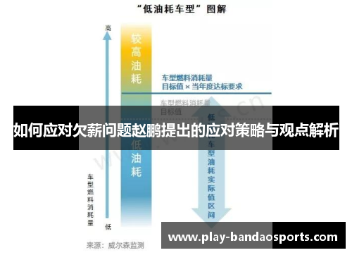 如何应对欠薪问题赵鹏提出的应对策略与观点解析