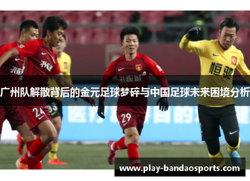 广州队解散背后的金元足球梦碎与中国足球未来困境分析