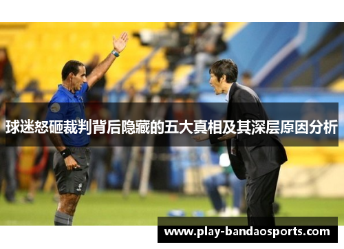 球迷怒砸裁判背后隐藏的五大真相及其深层原因分析