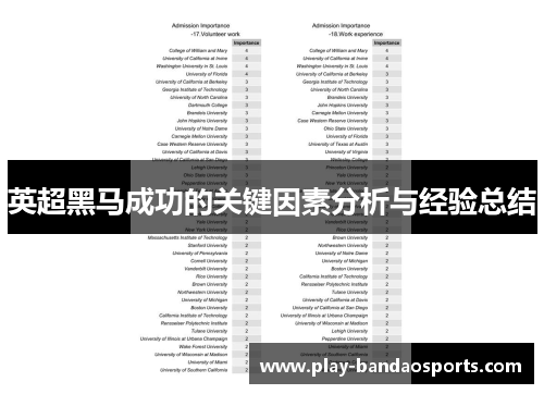 英超黑马成功的关键因素分析与经验总结