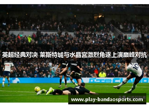 英超经典对决 莱斯特城与水晶宫激烈角逐上演巅峰对抗