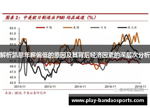 解析凯恩年薪偏低的原因及其背后经济因素的深层次分析