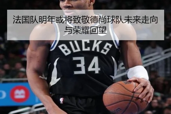 法国队明年或将致敬德尚球队未来走向与荣耀回望(bandao)